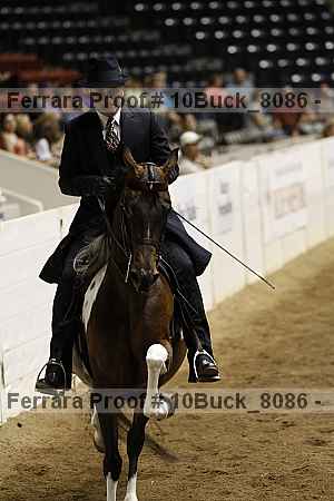 Proof 10buck_8086