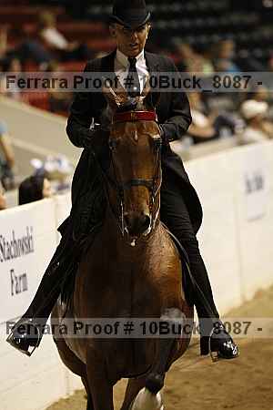 Proof 10buck_8087