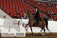 10buck_8088 proof