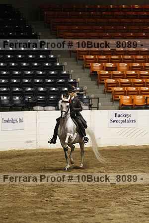 Proof 10buck_8089