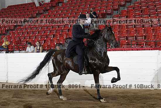 Proof 10buck_8091