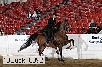 10buck_8092 proof