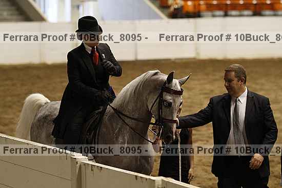 Proof 10buck_8095