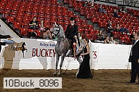 10buck_8096 proof