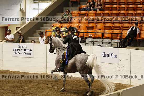 Proof 10buck_8097