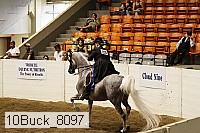 10buck_8097 proof