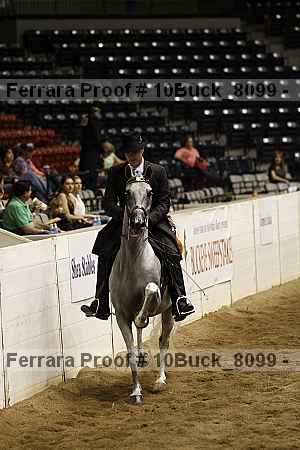 Proof 10buck_8099