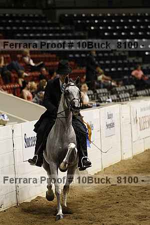 Proof 10buck_8100