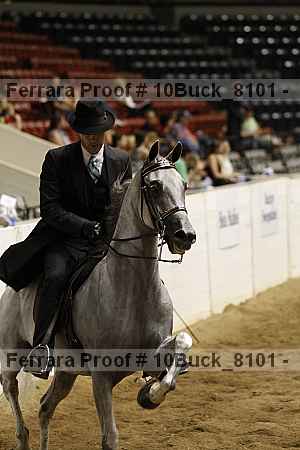 Proof 10buck_8101