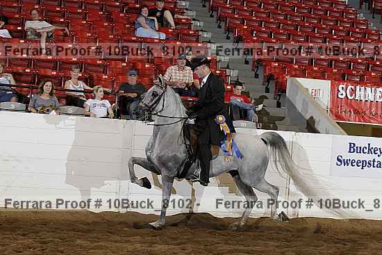 Proof 10buck_8102