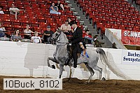 10buck_8102 proof