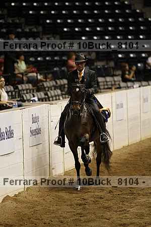 Proof 10buck_8104