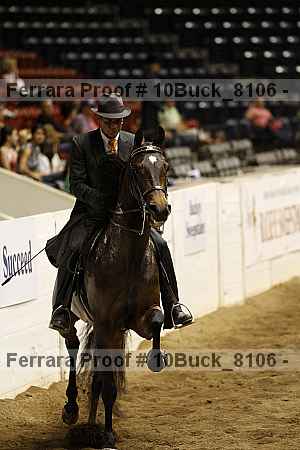 Proof 10buck_8106