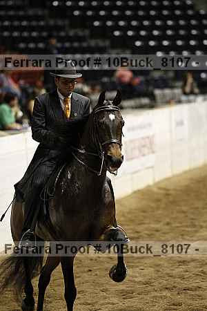Proof 10buck_8107