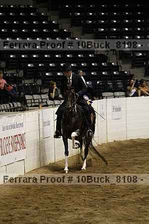 Proof 10buck_8108