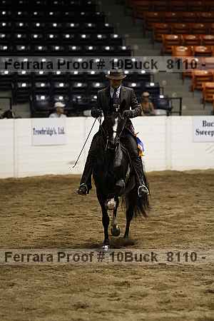 Proof 10buck_8110