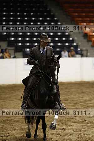 Proof 10buck_8111