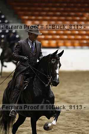Proof 10buck_8113