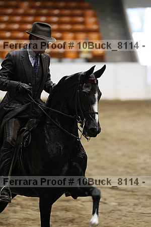 Proof 10buck_8114