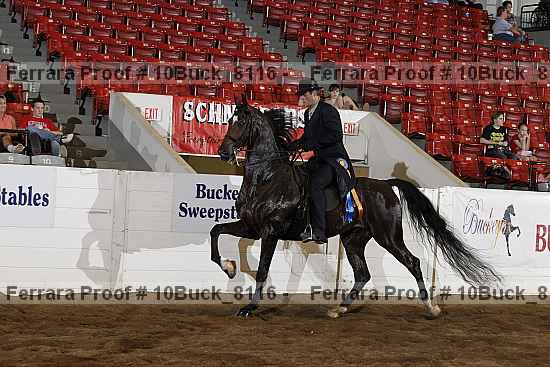 Proof 10buck_8116