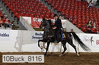 10buck_8116 proof