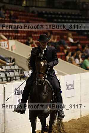Proof 10buck_8117