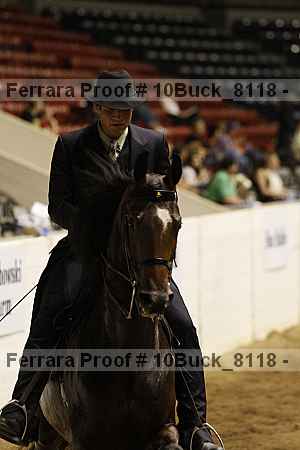 Proof 10buck_8118
