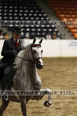 Proof 10buck_8125