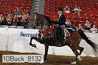 10buck_8132 proof