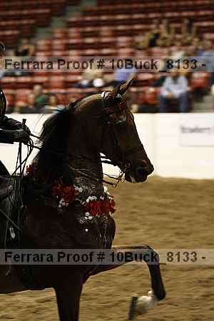 Proof 10buck_8133