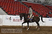 10buck-9022 proof