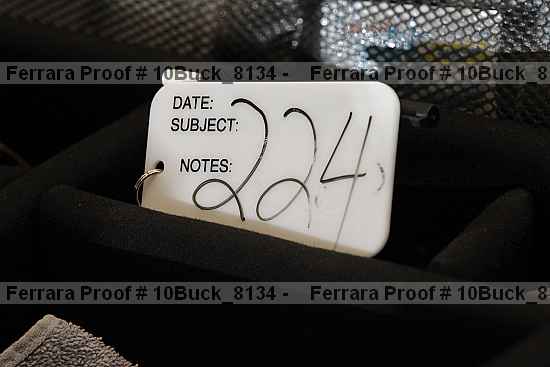 Proof 10buck_8134