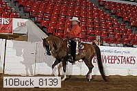 10buck_8139 proof