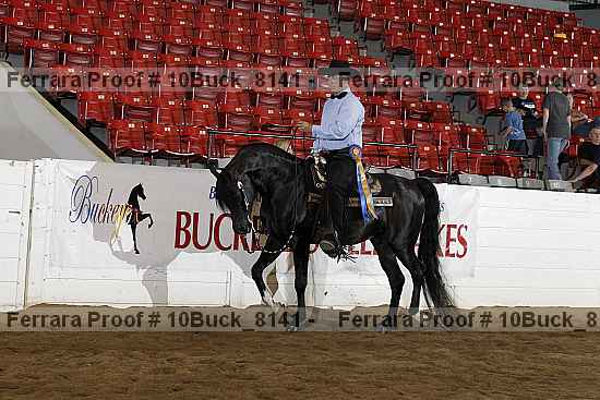 Proof 10buck_8141