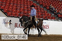 10buck_8146 proof