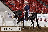 10buck_8151 proof