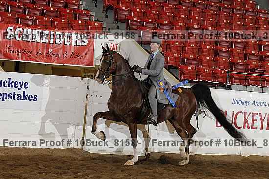 Proof 10buck_8158