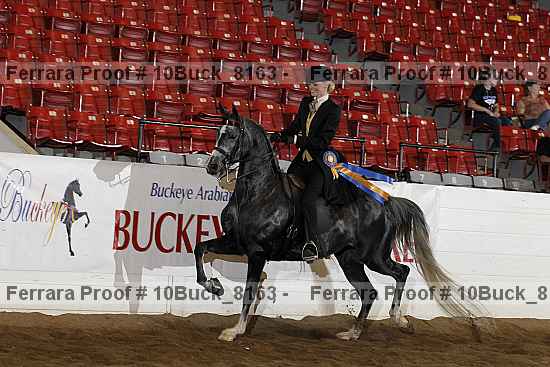 Proof 10buck_8163