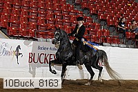 10buck_8163 proof