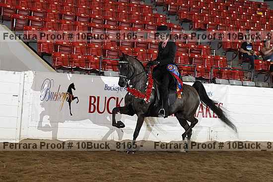 Proof 10buck_8165