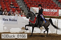 10buck_8166 proof