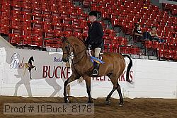 10buck_8178 proof