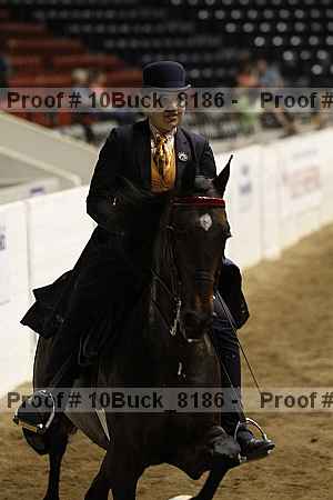 Proof 10buck_8186