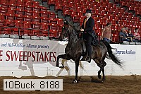 10buck_8188 proof