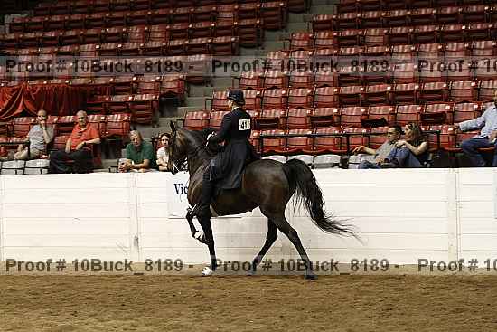 Proof 10buck_8189