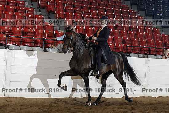 Proof 10buck_8191