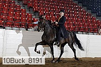 10buck_8191 proof