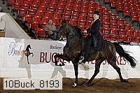 10buck_8193 proof