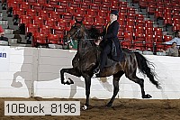 10buck_8196 proof