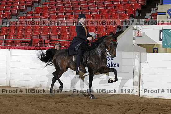 Proof 10buck_8197